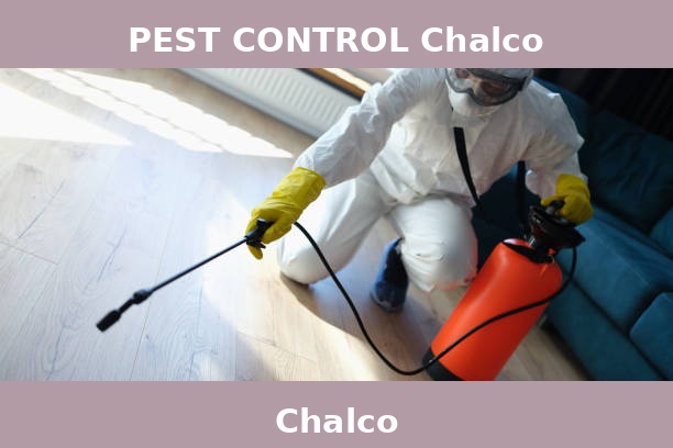 PEST CONTROL Chalco